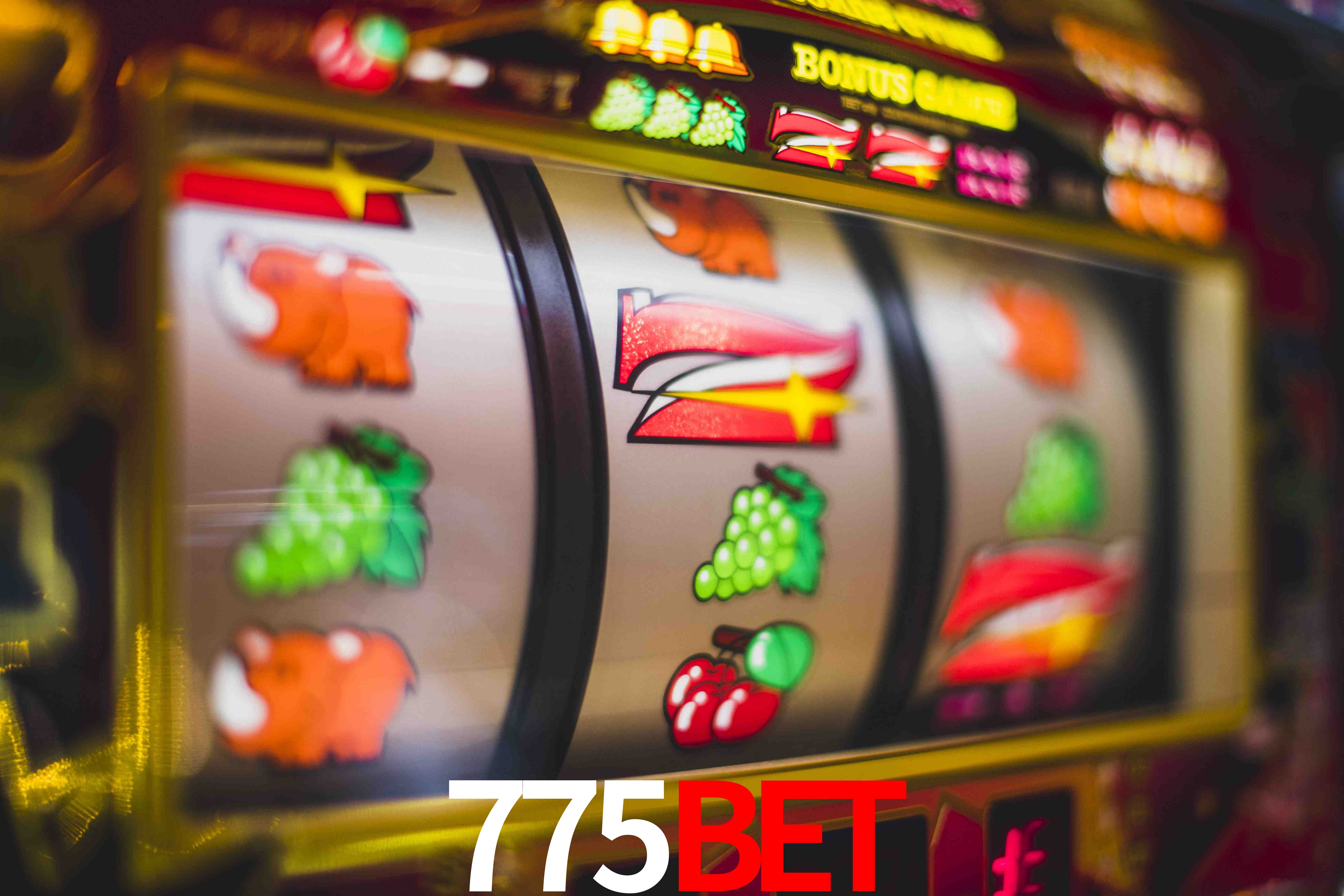 Game Providers 775bet